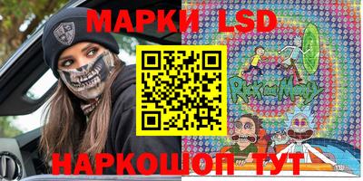 индика Обнинск
