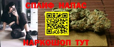 индика Обнинск
