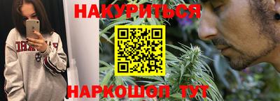 индика Обнинск