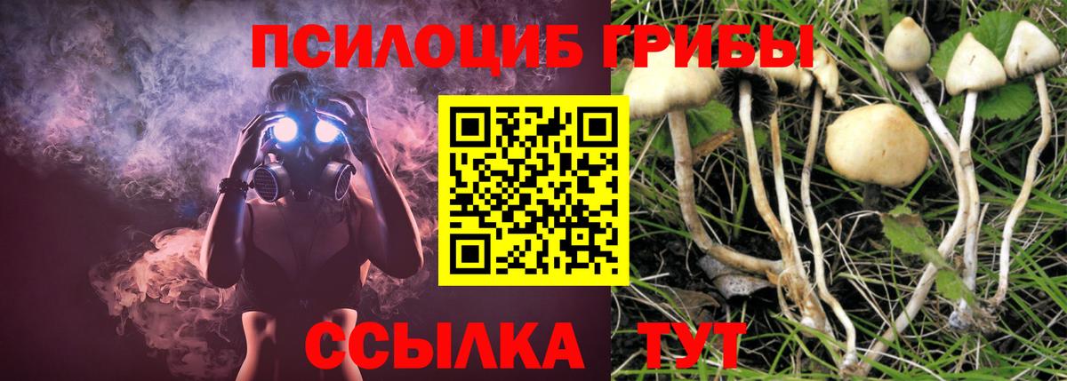 Псилоцибиновые грибы GOLDEN TEACHER  Галлюциногенные грибы MAGIC MUSHROOMS  Тихвин  Вход с VPN 